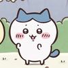 えむにゃ!