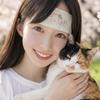 みけ*心にふんわり肉球タッチ