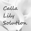 CLSolution