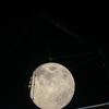 moonshiner3
