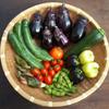 野菜を中心とした生活