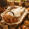 ノースネット