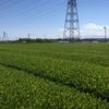 あきらです。