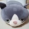 ふるさとみかん