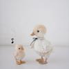 chikakoko