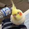 しろちゃん♡