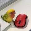 つむにー