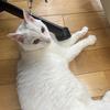 きゅーん999