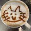 リーズナブル記事！現役大学生ちゃん⭐️