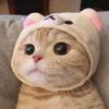 ぴよぴよ0922