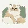たぬねこ屋