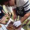 やなさん　ＢＢＱ向上委員会