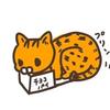 藻本まる