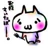 ステイラ