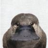 わぬぬん
