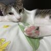 彩枝ママ