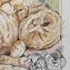 yoshie_cats