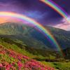 rainbow rainbow