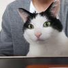ももたパパ