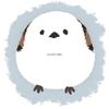 maru111231