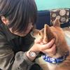 うなぴん