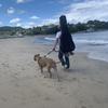 愛犬屋TOM