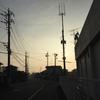 さざれ