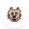amyworld