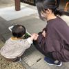 助産師momo