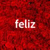 ウェディングムービーfeliz