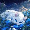 lapis_089