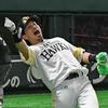 仕事にまつわる全般お手伝いします★
