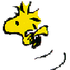 すのう