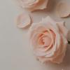 Rhea_