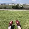 みーこ。