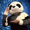 パンダ先生MaX