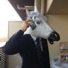 あっきー0606