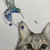 猫のメイ太郎
