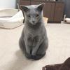 とらえもん。