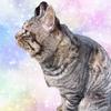 nekotoosake
