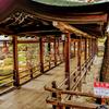 rulechild502
