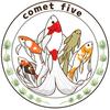 comet5