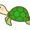 かめさんです