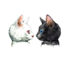 Happy34