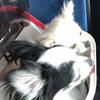 ろみママ