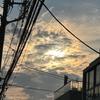男子御三家現役高校生やまぴー