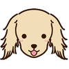 晴れどき