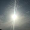 さんさん太陽