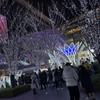 カシュウ　オカモト
