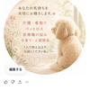 夢叶恵真　看護師